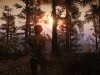 forest_01