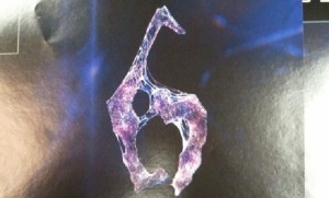 6