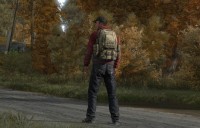 DayZ creator gives update on standalone release