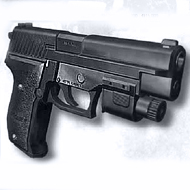 SIG P226