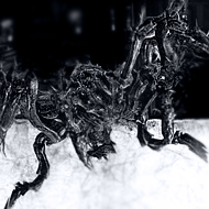 U8