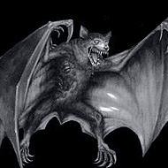 Bat