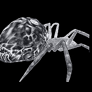 Giant Spider