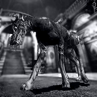 Cerberus