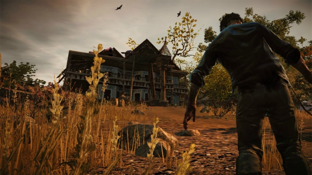 No State of Decay for Australia