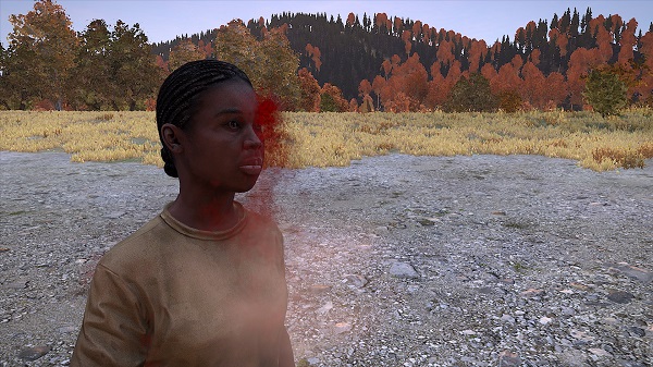 DayZ producer addresses development concerns