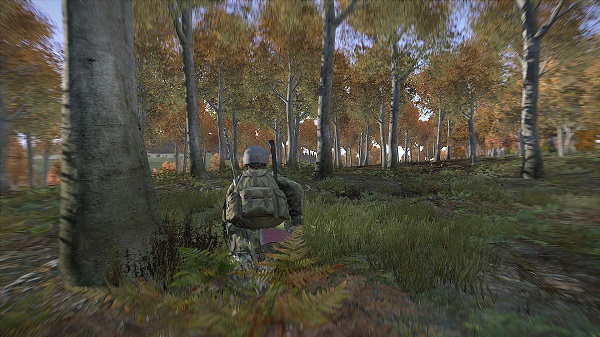 Dayz Standalone