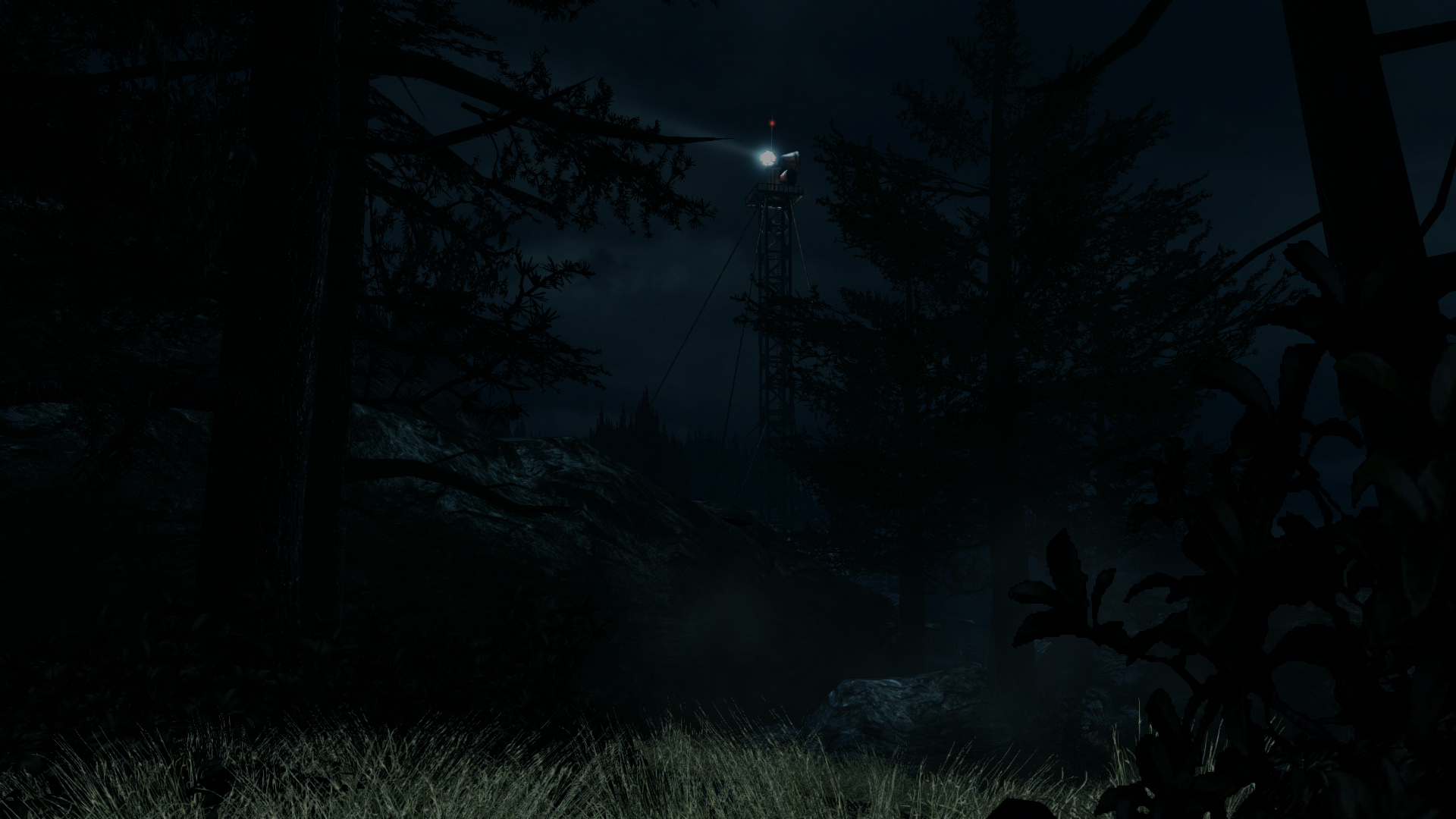 woods
