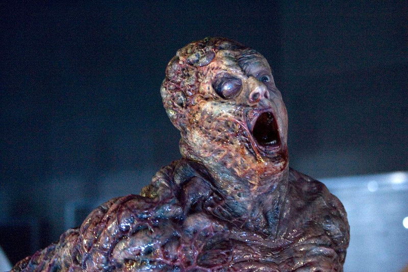 Ali Larter is back as Claire Redfield in Resident Evil: The Final Chapter - Rely on Horror