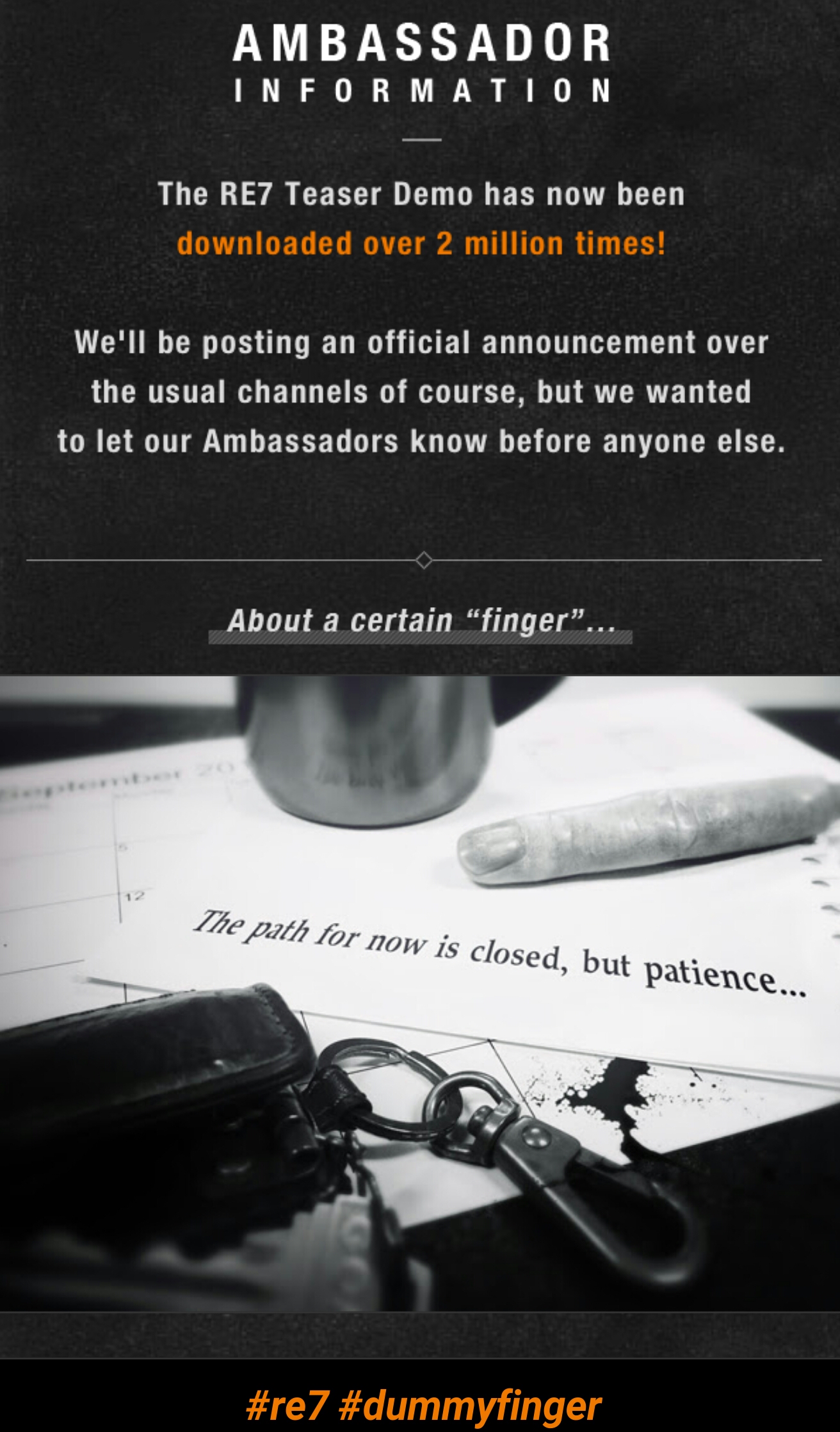 ambass