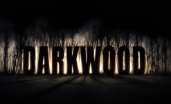 Survival Horror RPG Darkwood Releases August 17 on Steam