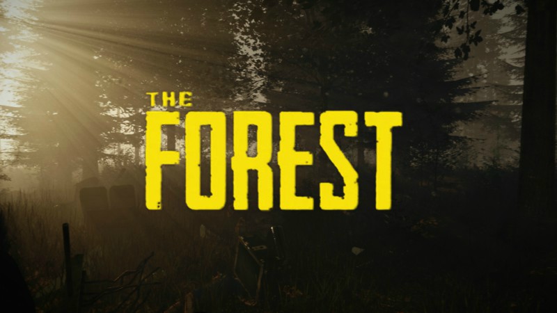 Out of Early Access and Into The Forest