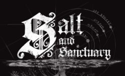Salt and Sanctuary Hits the Switch Next Month