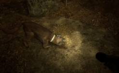 New Blair Witch Gameplay Stars Good Boy Bullet
