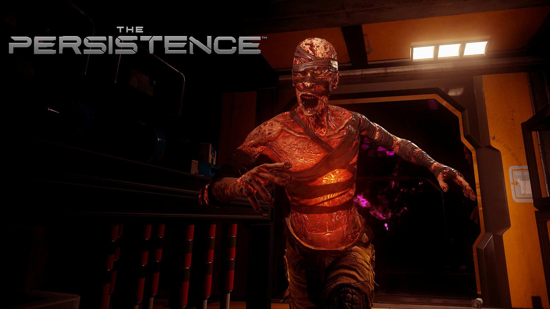 Perp The Persistence Enhanced Amélioré(e) Anglais PlayStation 5