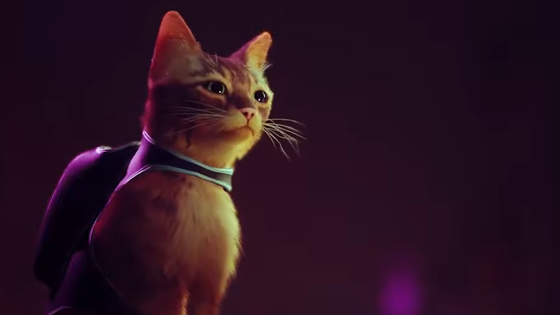 Stray Teases Clever Cat Gameplay in a Beautiful World - IGN
