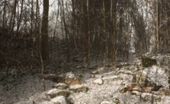 Abandoned Developer Continues to Insist it’s NOT Silent Hill