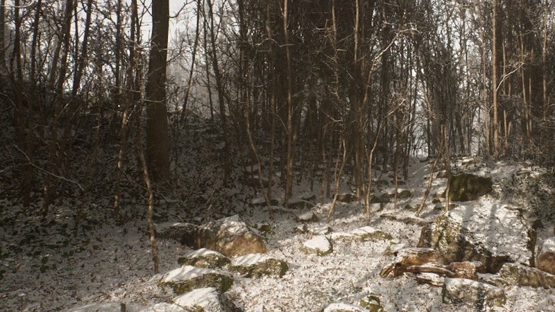 Screenshot from upcoming survival game Abandoned.