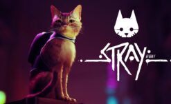Stray Shows First Gameplay, Release Window Revealed