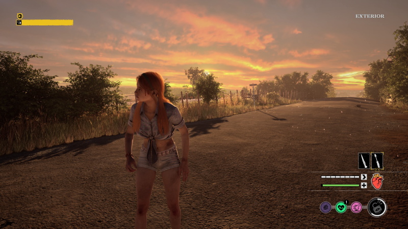 Victim Connie in front of a sunset.