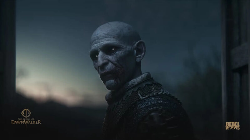 The Blood of the Dawnwalker: A bald a creepy figure stares with small eyes towards the player.