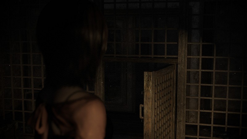 Fatal Frame 2 remake