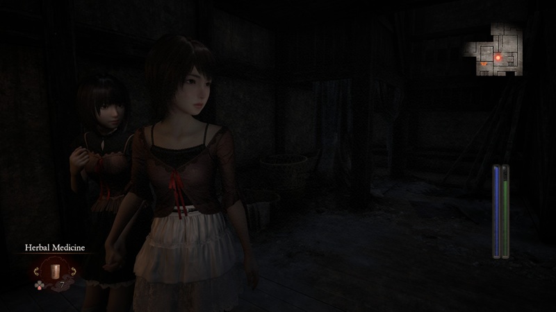 Fatal Frame 2 remake